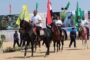 الخيول العربية تتألق على أرض الفروسية في مهرجان الشرقية