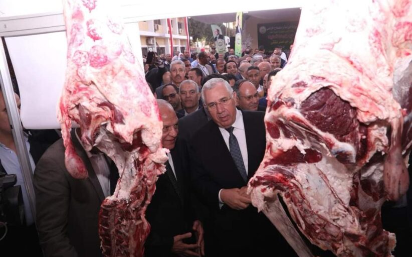 وزارة الزراعة تطرح اللحوم في منافذها ب 270 جنيه وتواصل ضخ سلع ومستلزمات رمضان