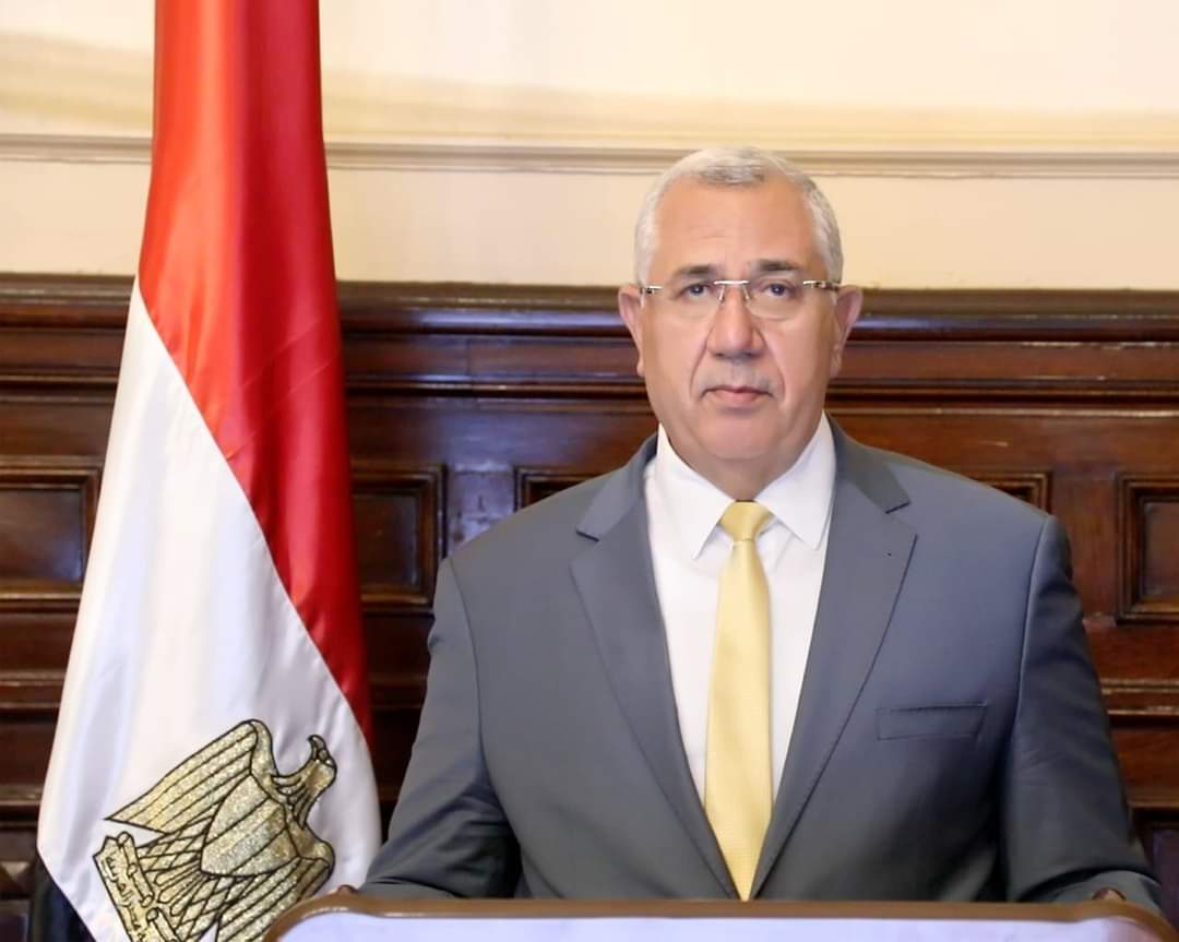 وزارة الزراعه تعلن الإفراج عن شحنات الموالح المحتجزة في روسيا