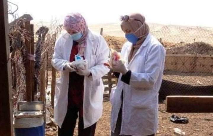 بيطري الشرقية يُحصن 344 ألف و 108 رأس ماشية للوقاية من مرض الحمى القلاعية والوادي المتصدع