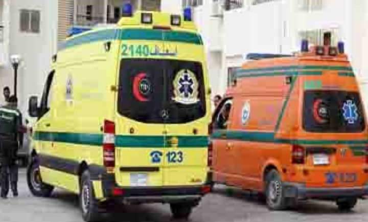 بسبب وجبة سمك..إصابة 11شخصا بالتسمم في طوخ بالقليوبية