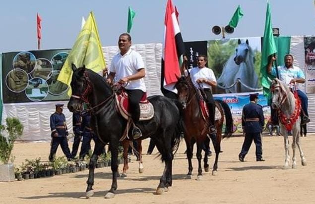 الخيول العربية تتألق على أرض الفروسية في مهرجان الشرقية