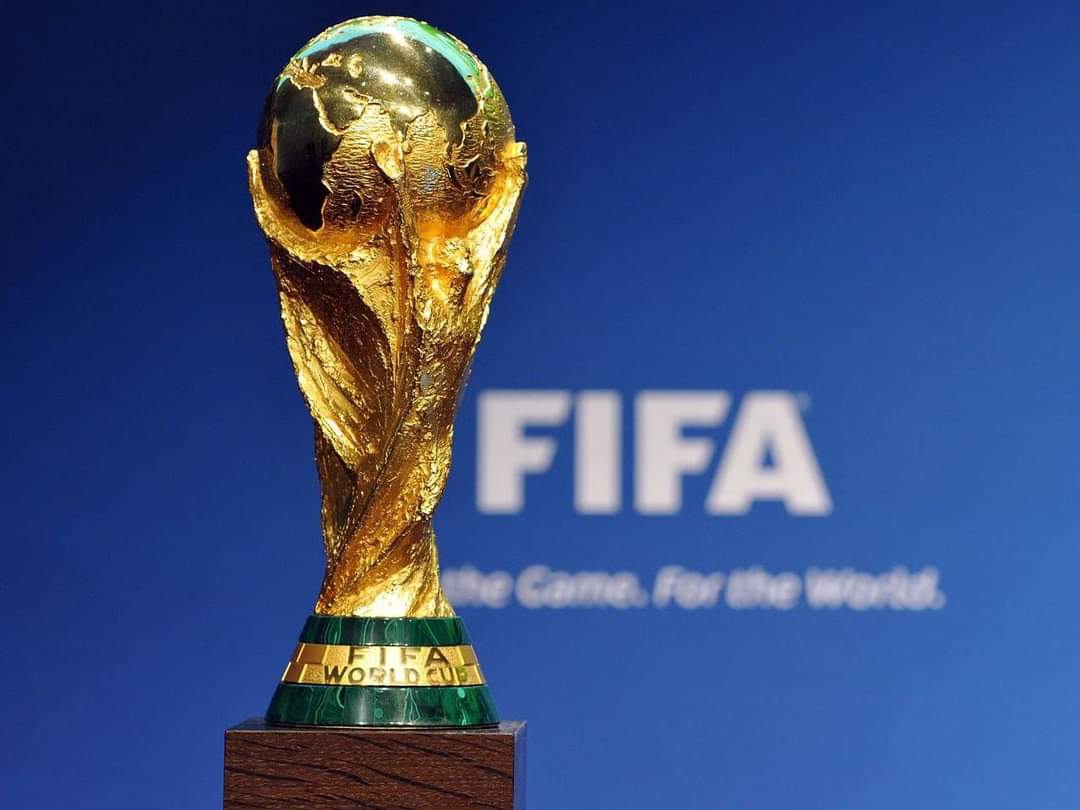 عاجل.. 6 دول تستضيف كأس العالم 2030 من بينهم دولة عربية
