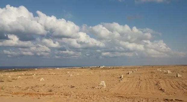 زور في اوراق ملكية الأرض و طالب بالتعويض المالي بـ النزاهة