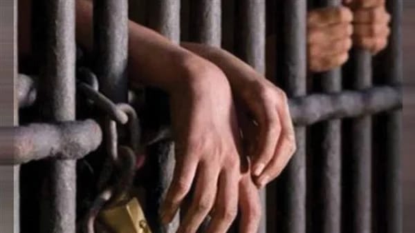 حبس شخصين لقيامهما بتزوير المحررات الرسمية بالقليوبية