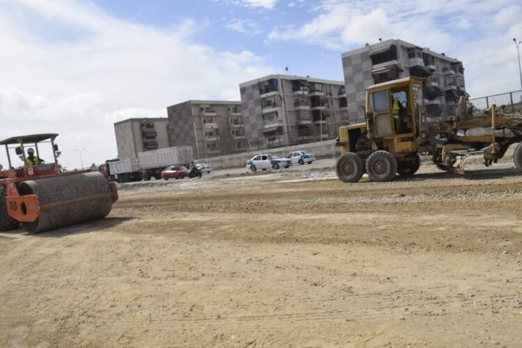 بالشراكة مع حزب حماة الوطن.. رئيس مدينة بورفؤاد يعلن عن بدء زراعة أعمدة الإنارة