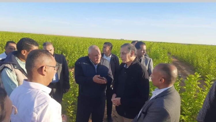 مستشار رئيس الجمهورية ومحافظ الوادي الجديد يتفقدان عدداً من المشروعات الزراعية