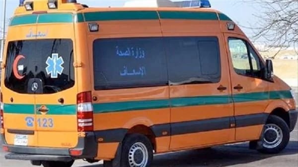 حادثة تصادم سيارة نقل وميكروباص بطريق رافد المنصورة بمحافظة الدقهلية