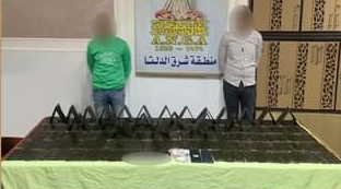 ضبط تشكيل عصابي وبحوزتهما كميه كبيره من المواد المخدرة