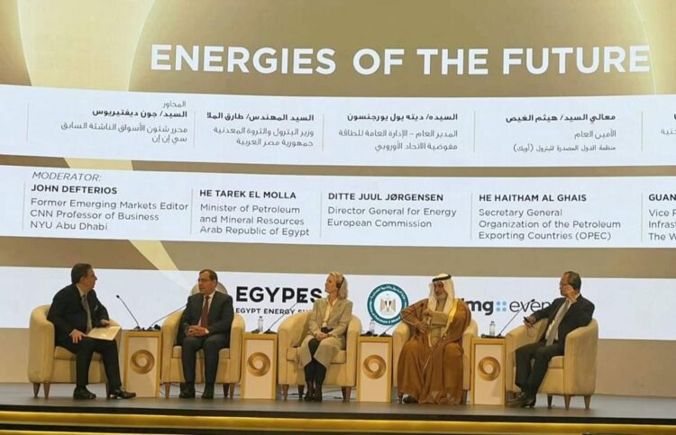 يورجنسون: قمة المناخ COP27 وضعت مصر على الطريق السليم