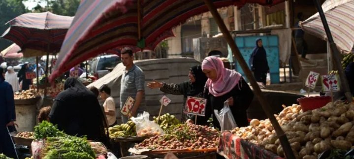 إلى أين تصل زيادة الأسعار في السوق المصري