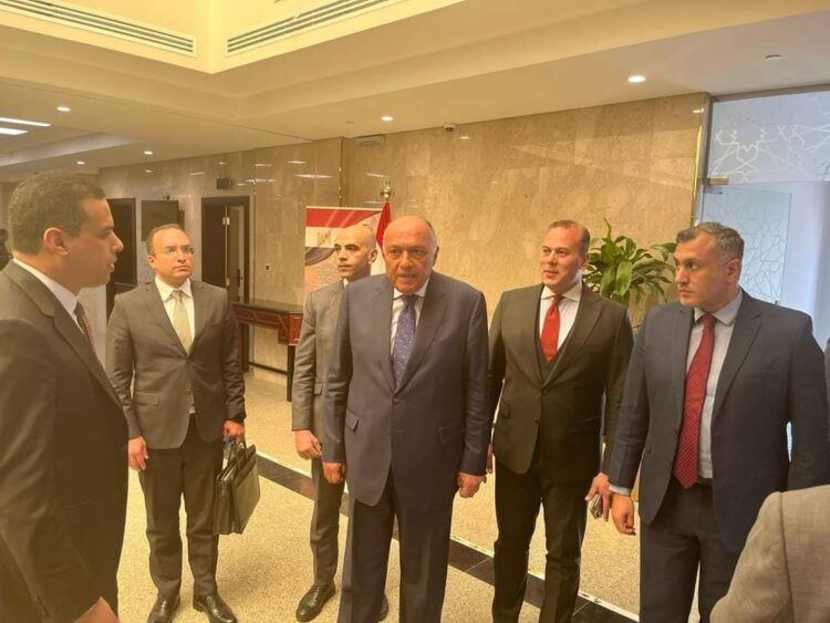 وزير الخارجية يتفقد الأعمال القنصلية وسير عمل الخدمات المقدَّمة للمواطنين المصريين في الرياض