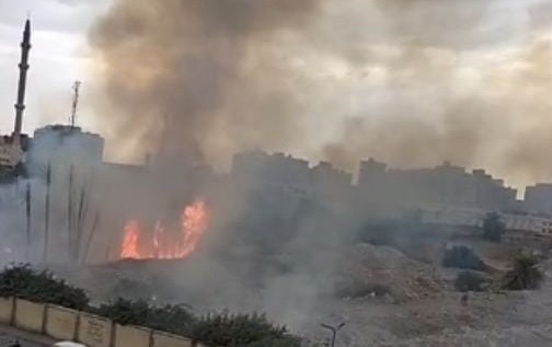 السيطرة على حريق هائل بمجموعة من الأشجار والنخيل في شبرا مصر