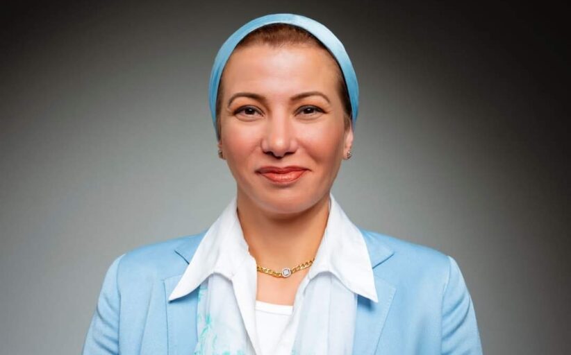 تعرف على سبب استقالة وزيرة البيئة من الحكومة