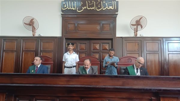 إحالة أوراق نجار وحلاق للمفتي بتهمة قتل مسنة لسرقتها بالإكراه في أسيوط