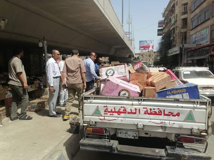 محافظ الدقهلية يكلف بالمتابعة اليومية لأنشطة الوحدات المحلية