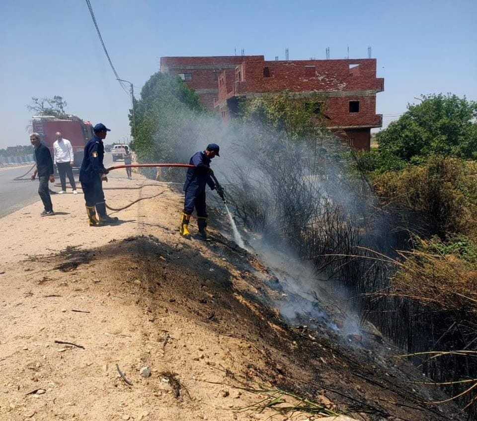 السيطرة على حريق ببركة بوص وحشائش في قرية المحسمة القديمة بالإسماعيلية