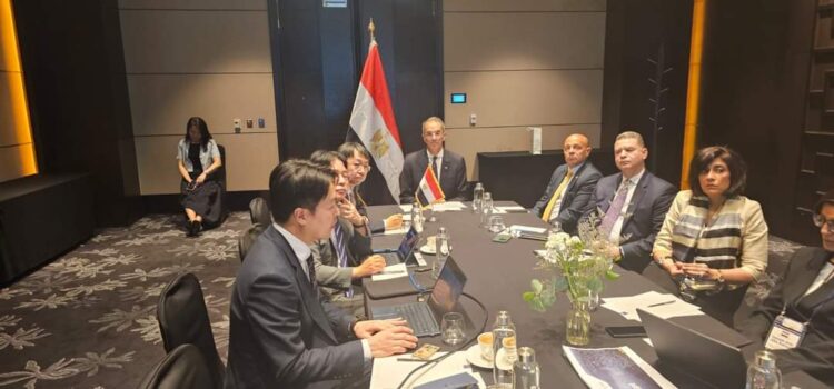 وزير تكنولوجيا يبحث مع نظيره بجمهورية كوريا فتح آفاق للتعاون بين البلدين 