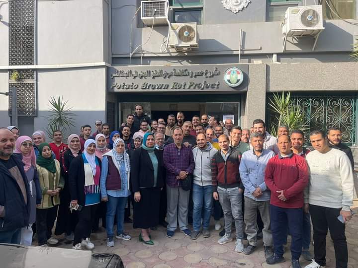 فحص أكثر من مليون طن بطاطس منذ بداية الموسم بمعامل