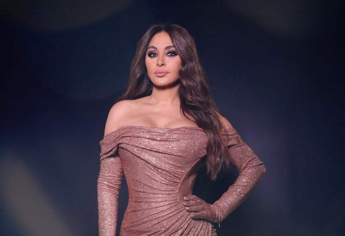 أول رد لـ إليسا على شائعة زواجها.. تفاصيل