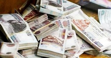ضبط متهم بالنصب والاحتيال على المواطنين في الغربية