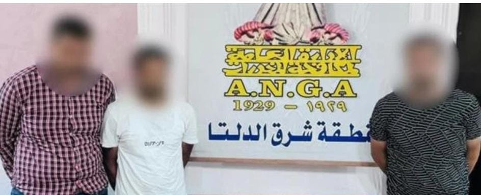ضبط 3 عناصر إجرامية بتهمة الإتجار بالمواد المخدرة في الدقهلية