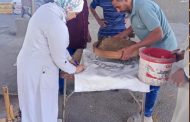 محافظ الجيزة يعلن توريد 16 ألف طن قمح محلي، ويؤكد توفير بيئة داعمة للمزارعين