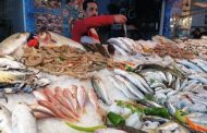 تعرف على أسعار السمك اليوم الثلاثاء 6 مايو 2025