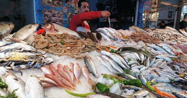 تعرف على أسعار السمك اليوم الثلاثاء 6 مايو 2025