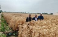 محافظ أسيوط يوجه بمتابعة المحاصيل الزراعية والتأكد من خلوها من الأمراض