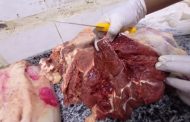 محافظ أسيوط: ضبط نصف طن لحوم ومشتقاتها غير صالحة للاستهلاك