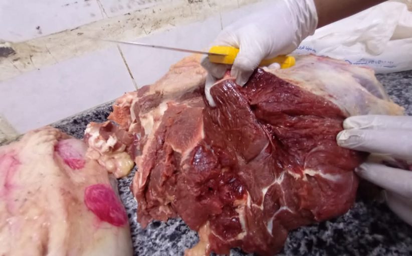 محافظ أسيوط: ضبط نصف طن لحوم ومشتقاتها غير صالحة للاستهلاك