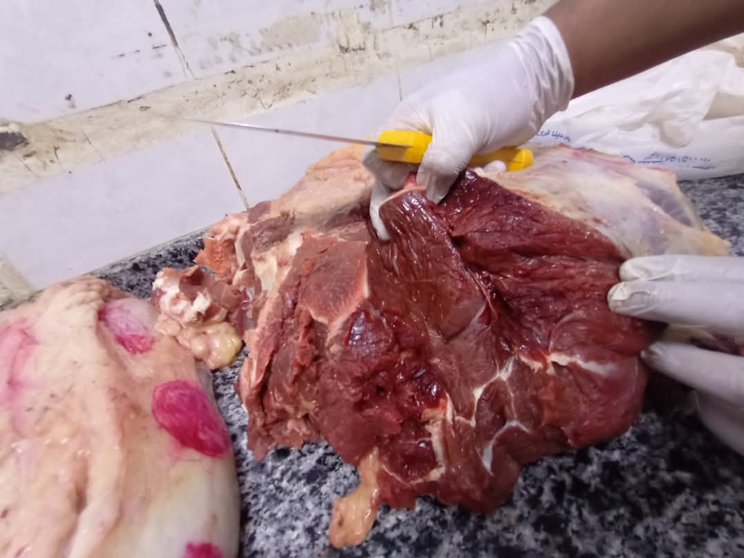 محافظ أسيوط: ضبط نصف طن لحوم ومشتقاتها غير صالحة للاستهلاك