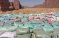محافظ أسيوط: توريد أكثر من 153 ألف طن من القمح المحلي حتى الآن