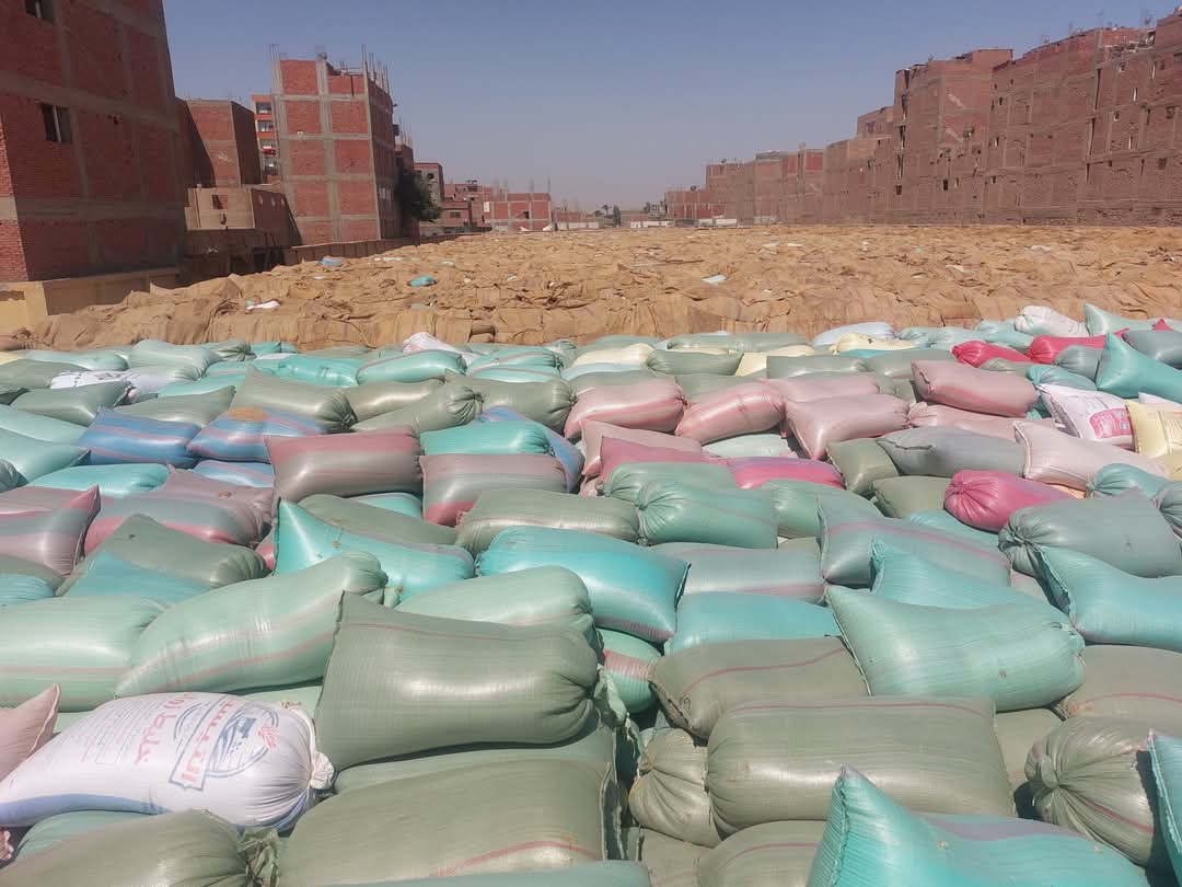 محافظ أسيوط: توريد أكثر من 153 ألف طن من القمح المحلي حتى الآن