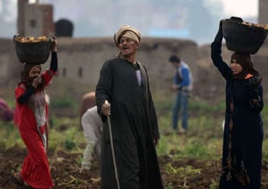 مشكلة الميراث