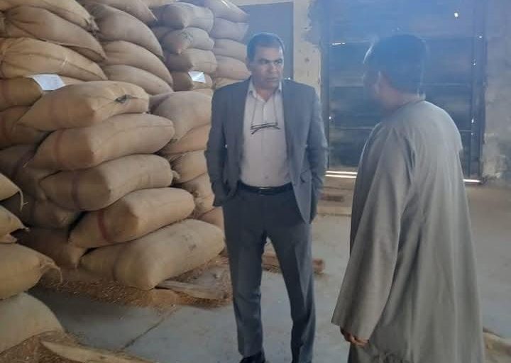 توريد أكثر من 100 ألف طن قمح بالمنيا منذ بدء موسم الحصاد 2025