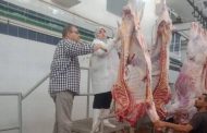 مديرية الطب البيطري بالبحر الأحمر تذبح 53 عجلًا لتوفير اللحوم للمواطنين