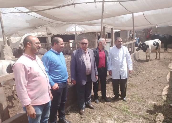 محافظ الدقهلية: تحصين 191 ألف رأس ماشية ضد الحمى القلاعية وحمى الوادي المتصدع