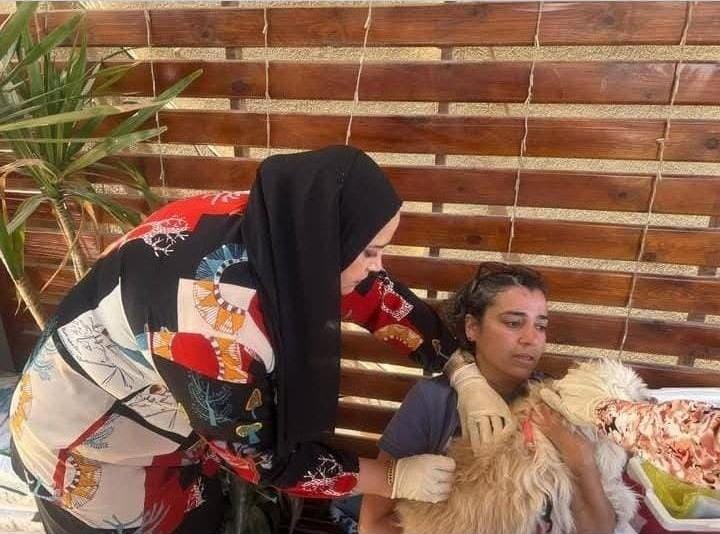الطب البيطري بالقاهرة ينفذ حملة لترخيص وتحصين الكلاب بهايد بارك