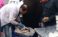 مديرية الطب البيطري تواصل حملاتها التفتيشية على اللحوم والدواجن والأسماك ومنافذ البيع ببورسعيد