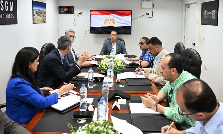 رئيس الوزراء يجتمع مع الرئيس التنفيذي لشركة 