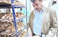 محافظة المنوفية تشن حملة تموينية لضبط مخالفات المخابز بقرية شنوان