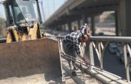 لضمان سلامة المواطنين.. محافظ الجيزة يتابع إصلاح كوبري أرض اللواء