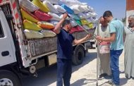 حتى الآن.. الشرقية تستقبل أكثر من نصف مليون طن قمح