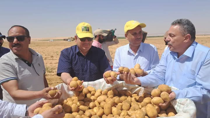 لأول مرة.. محافظ الوادي الجديد يعلن نجاح إنتاج تقاوي البطاطس محليًا