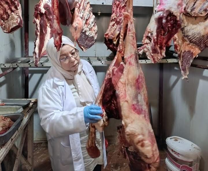 قبل عيد الأضحى.. الطب البيطري ببورسعيد يكثف حملاته لحماية المواطنين