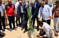 الإسماعيلية تواصل تطوير البنية التحتية وتزرع الأمل في الأحياء السكنية