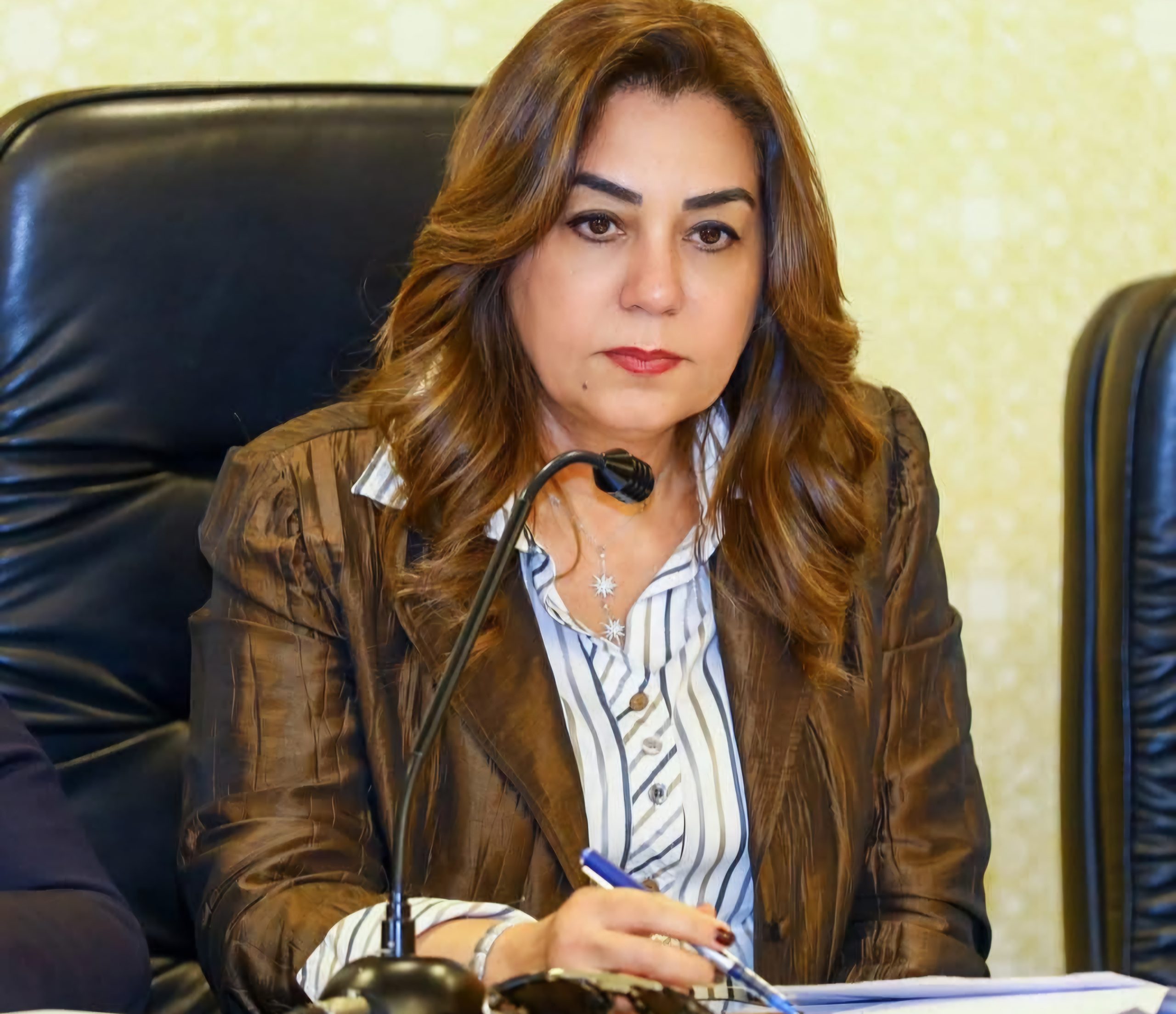 وزيرة التنمية المحلية تستعرض نتائج المرحلة الأولى للموجة الـ 26 لإزالة التعديات