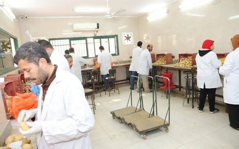 الزراعة تعلن فحص أكثر من 1.3 مليون طن بطاطس مائدة معدة للتصدير إلى الخارج
